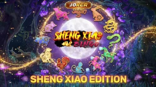 Sheng Xiao Bingo