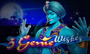3 Genie Wishes