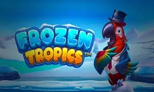 Frozen Tropics