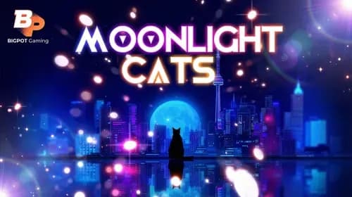 Moonlight Cats