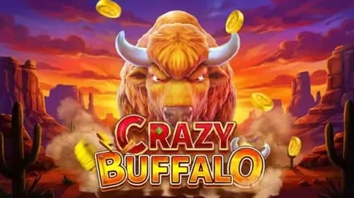 Crazy Buffalo