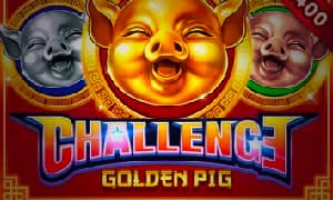 challenge・golden pig